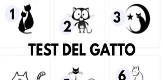 Test personalità gatto