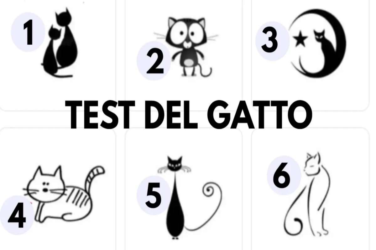 Test personalità gatto