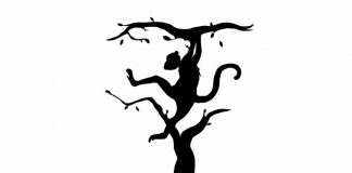 Test della personalità