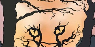 test visivo Solo Gossip