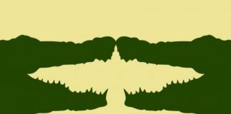test visivo