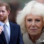 Harry contro Camilla -
