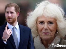 Harry contro Camilla -