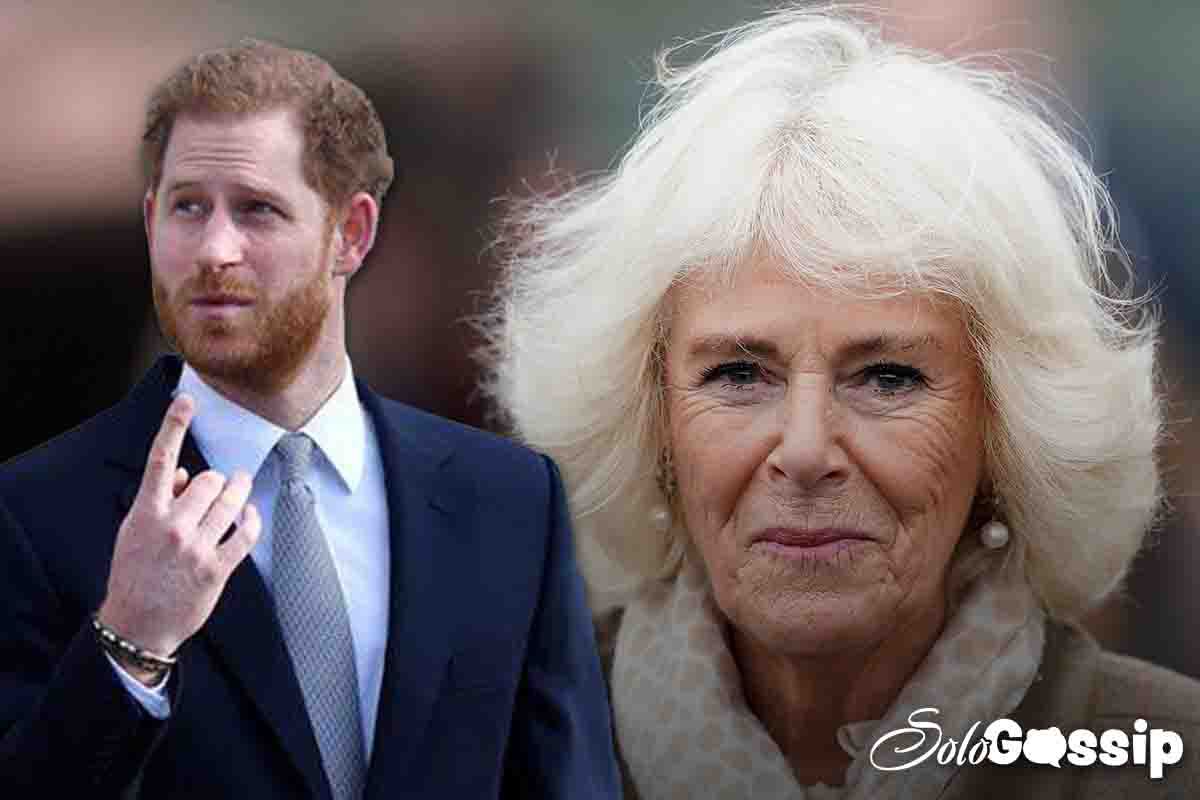 Harry contro Camilla -