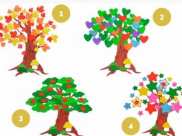 Test psicologico visivo