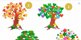 Test psicologico visivo