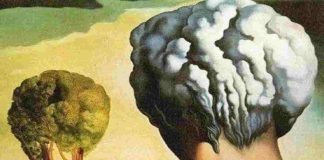 test-virtù Solo Gossip