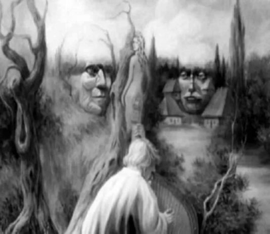 test visivo delle figure misteriose Solo Gossip