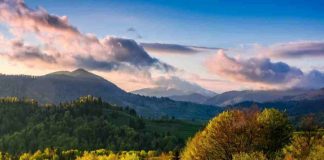 trova il cammello nella foto Sologossip